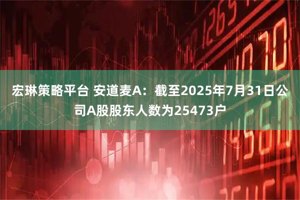 宏琳策略平台 安道麦A：截至2025年7月31日公司A股股东人数为25473户