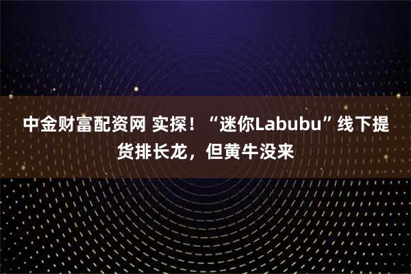 中金财富配资网 实探！“迷你Labubu”线下提货排长龙，但黄牛没来